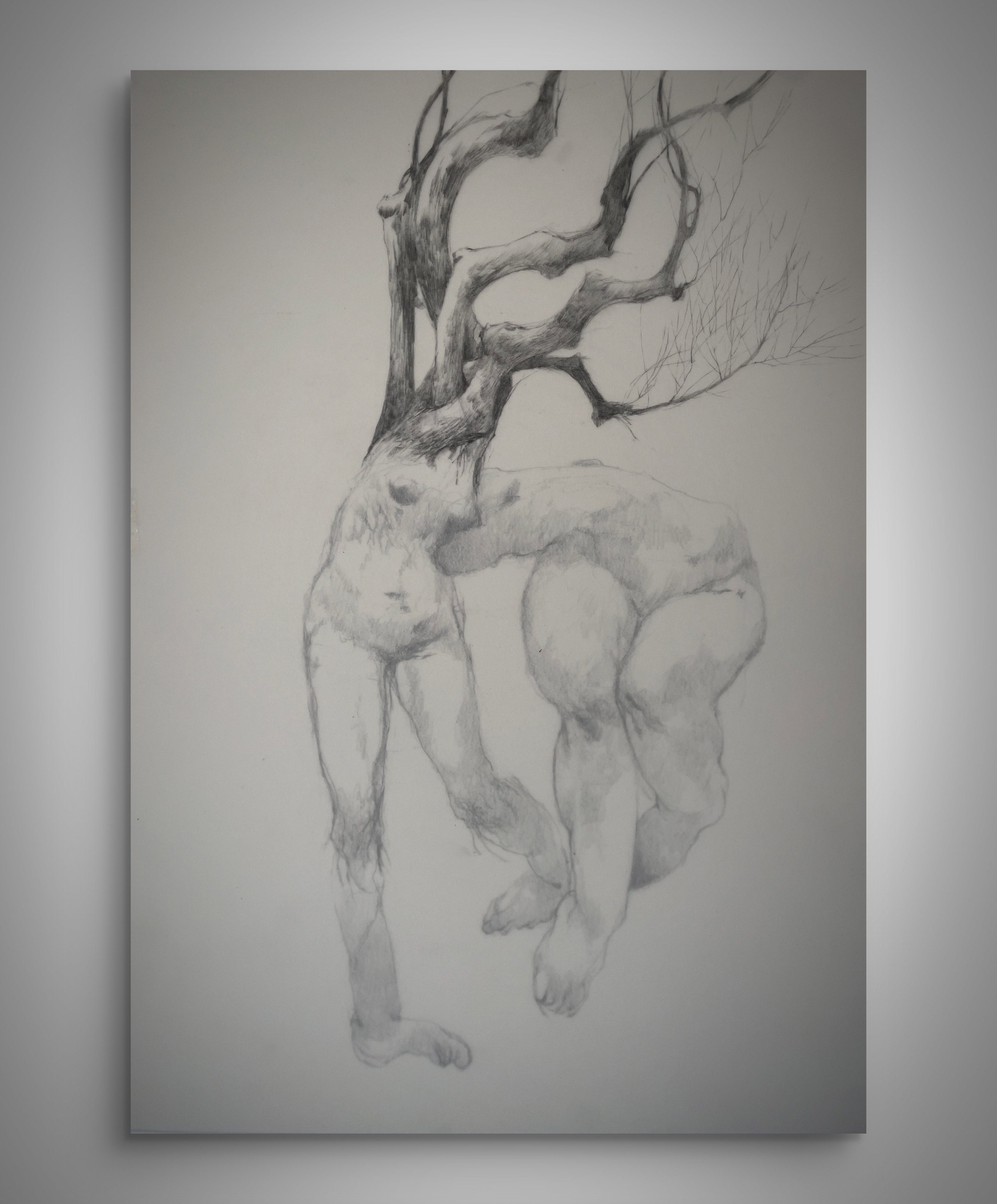 TRACCIA NO.4