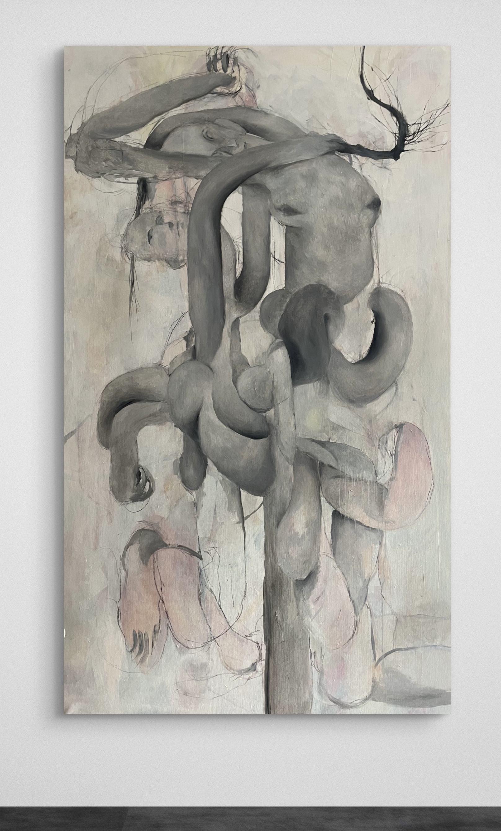 INTRECCIO NO.7